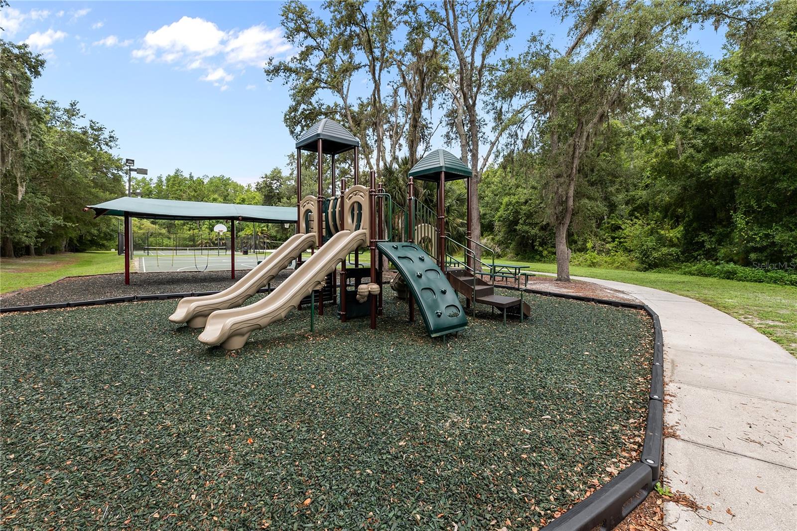14834 MAN O WAR DR, ODESSA, FL — photo 44