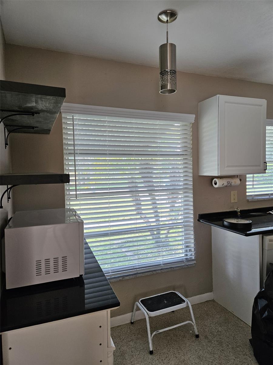 2245 CEDAR DR, DUNEDIN, FL — photo 20