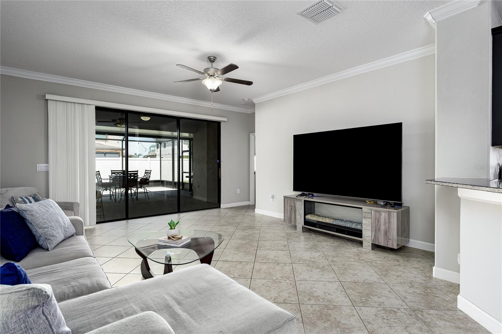 10009 CELTIC ASH DR, RUSKIN, FL — photo 8
