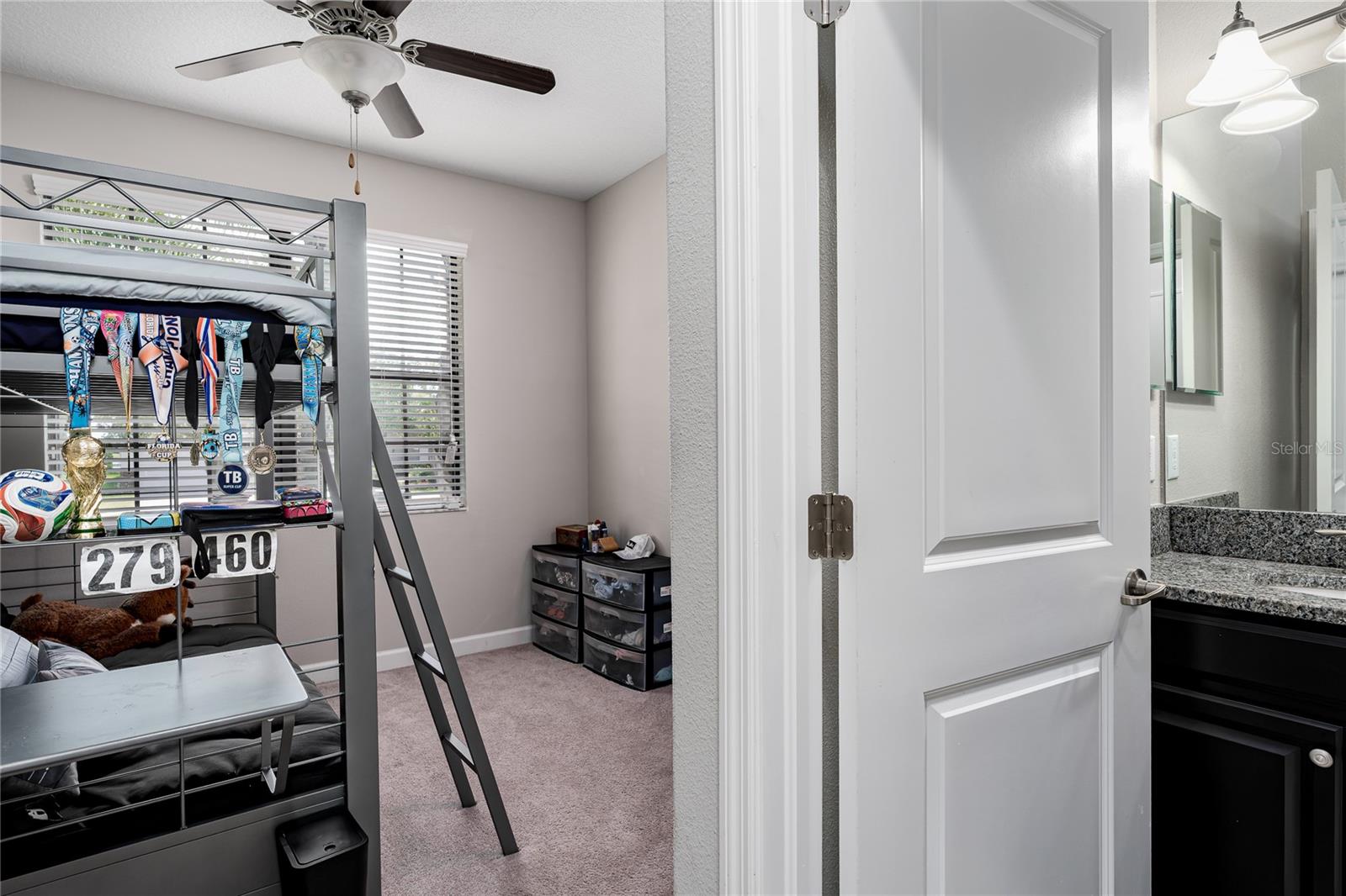 10009 CELTIC ASH DR, RUSKIN, FL — photo 28