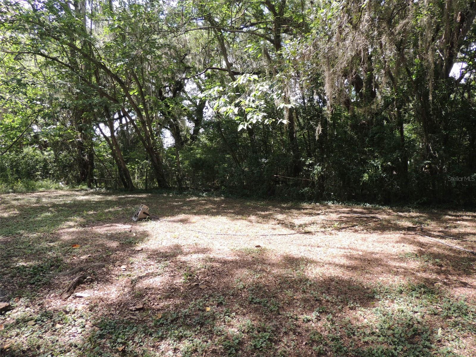 1146 NE 2ND PL, WILLISTON, FL — photo 6