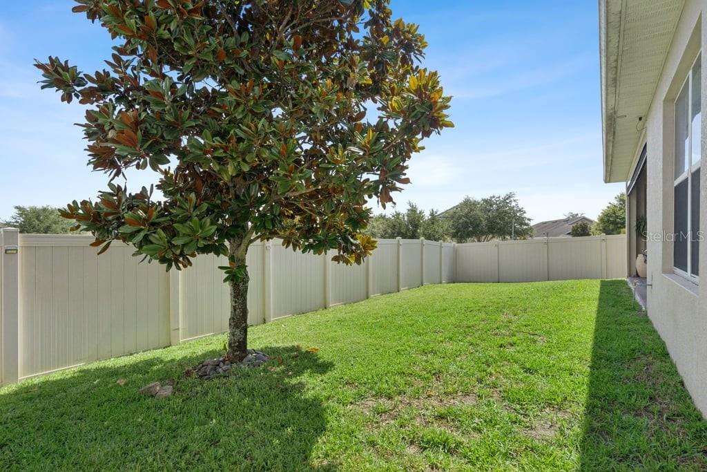 15725 SWEET LIMETTA DR, WINTER GARDEN, FL — photo 49