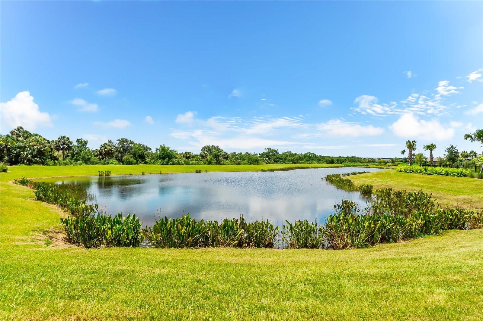 8701 WINTER BREEZE, SARASOTA, FL — photo 67