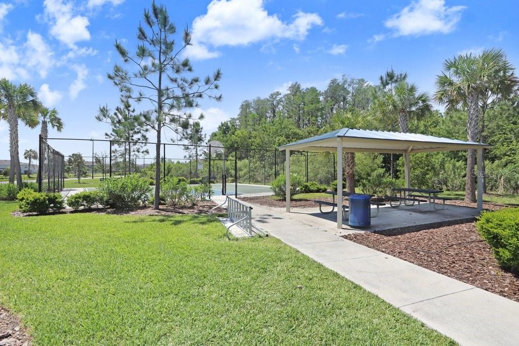 3044 SUNCOAST PLAINS DR, ODESSA, FL — photo 39