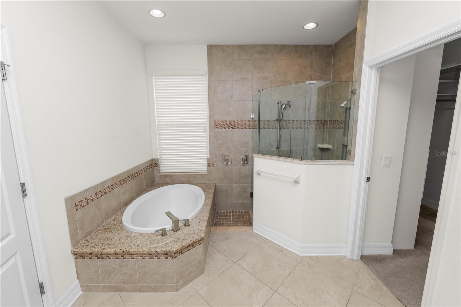 4446 WILDSTAR CIR, WESLEY CHAPEL, FL — photo 19
