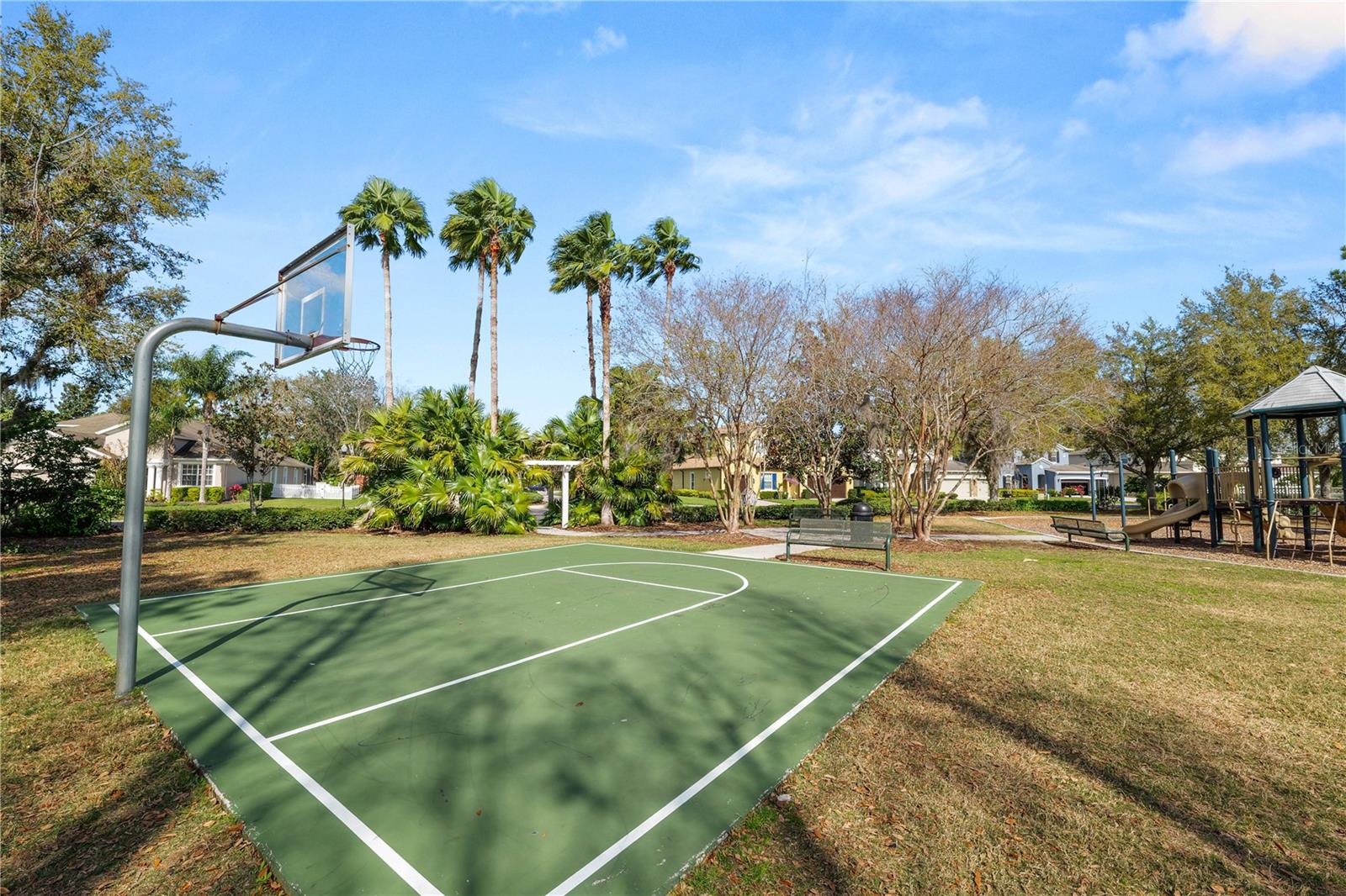4446 WILDSTAR CIR, WESLEY CHAPEL, FL — photo 38