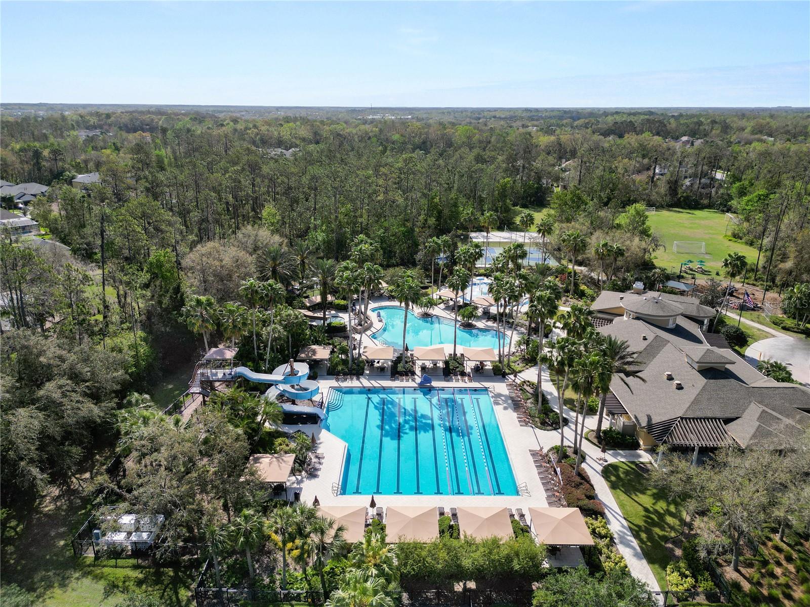 4446 WILDSTAR CIR, WESLEY CHAPEL, FL — photo 41