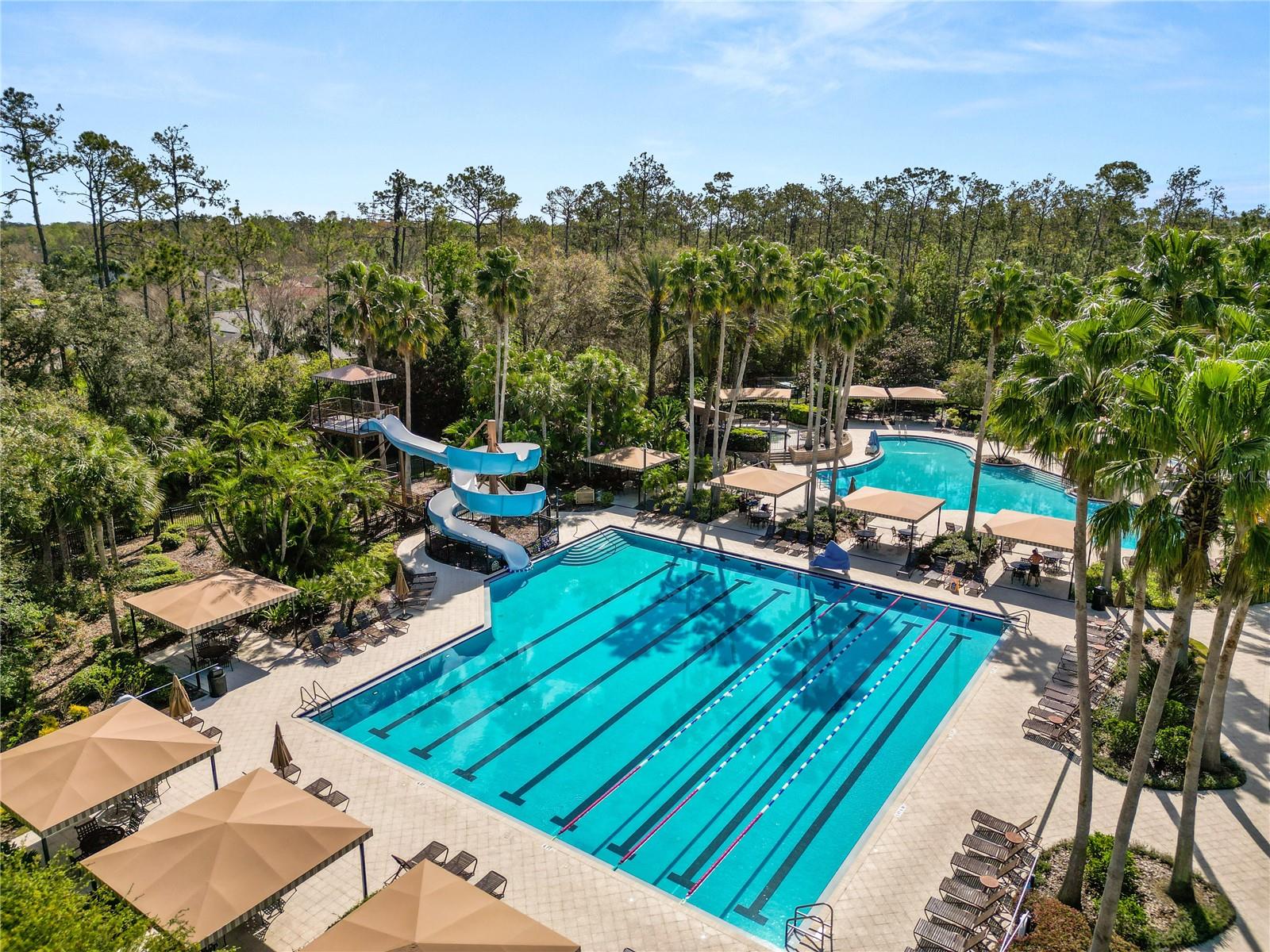 4446 WILDSTAR CIR, WESLEY CHAPEL, FL — photo 42