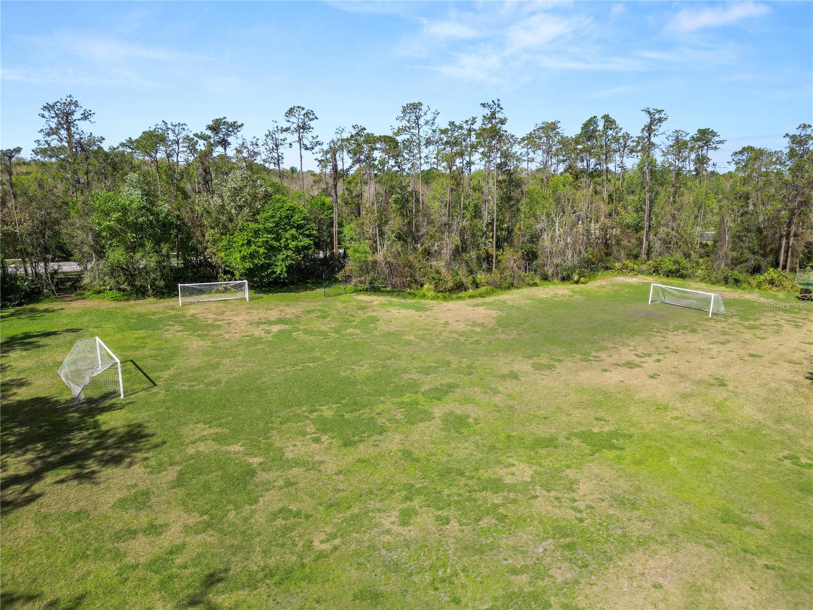 4446 WILDSTAR CIR, WESLEY CHAPEL, FL — photo 47