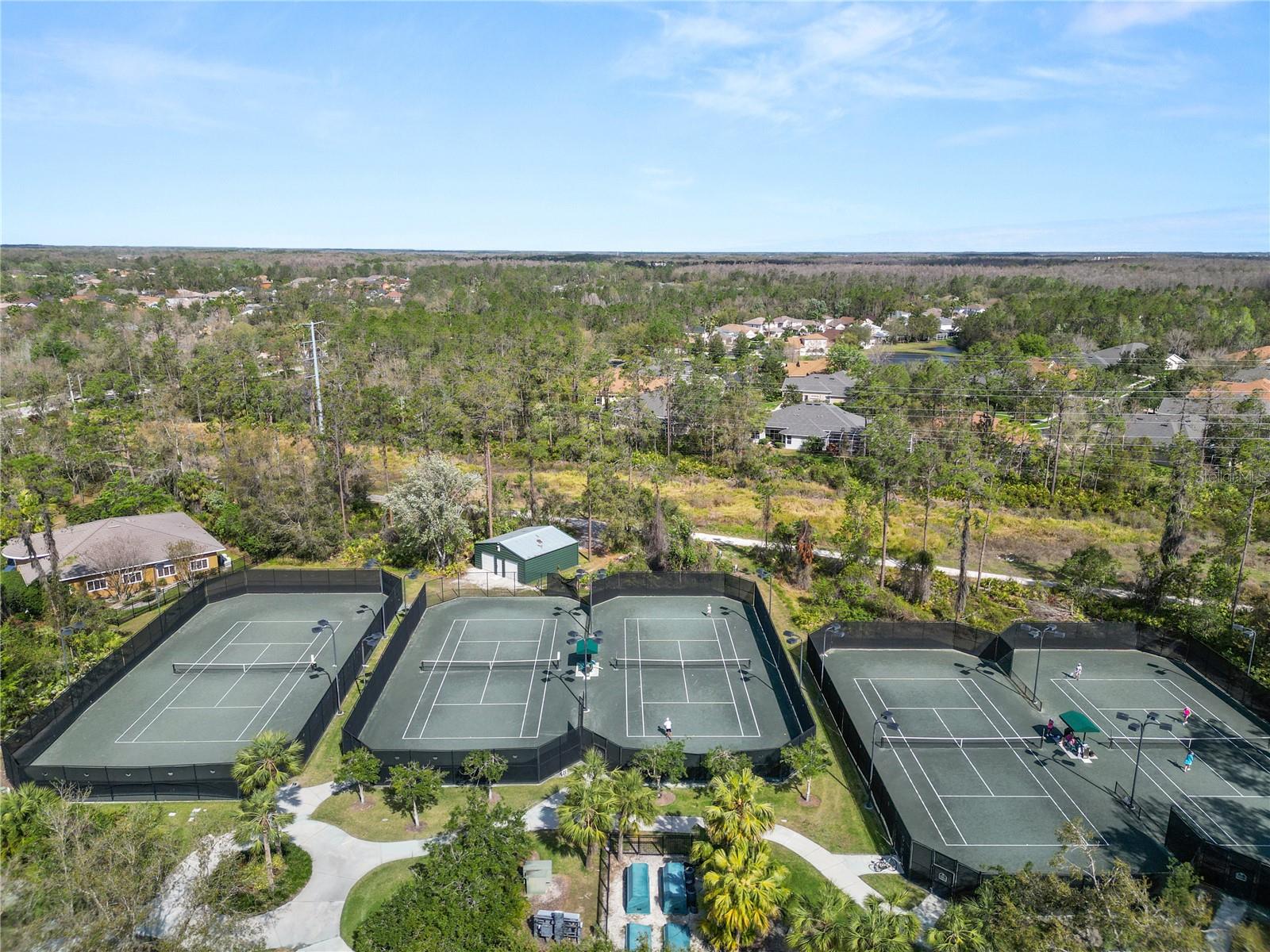 4446 WILDSTAR CIR, WESLEY CHAPEL, FL — photo 48