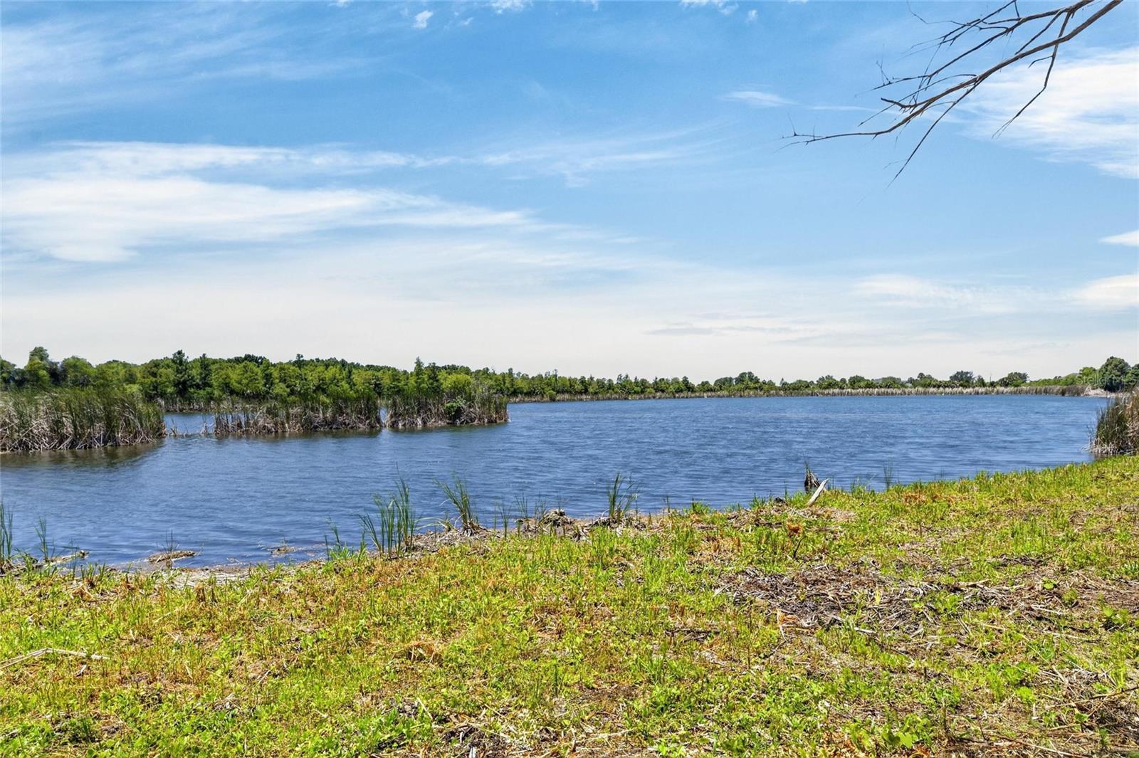 3016 SMILODON TRL, RUSKIN, FL — photo 57