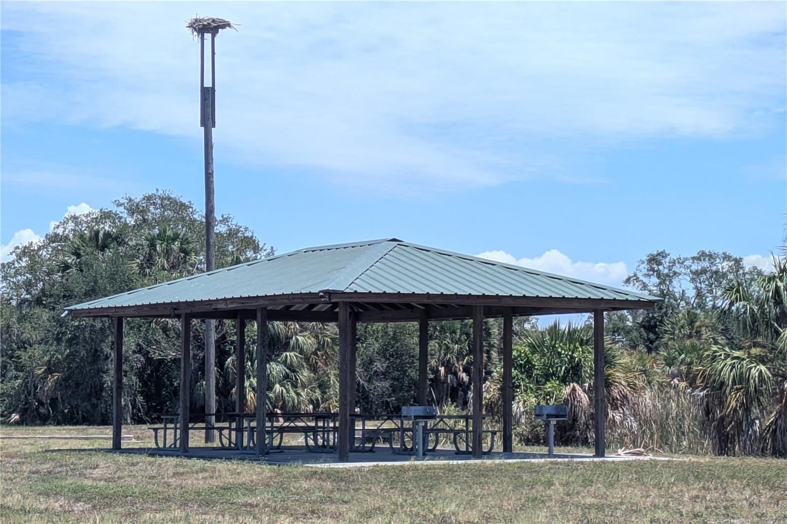 3016 SMILODON TRL, RUSKIN, FL — photo 58
