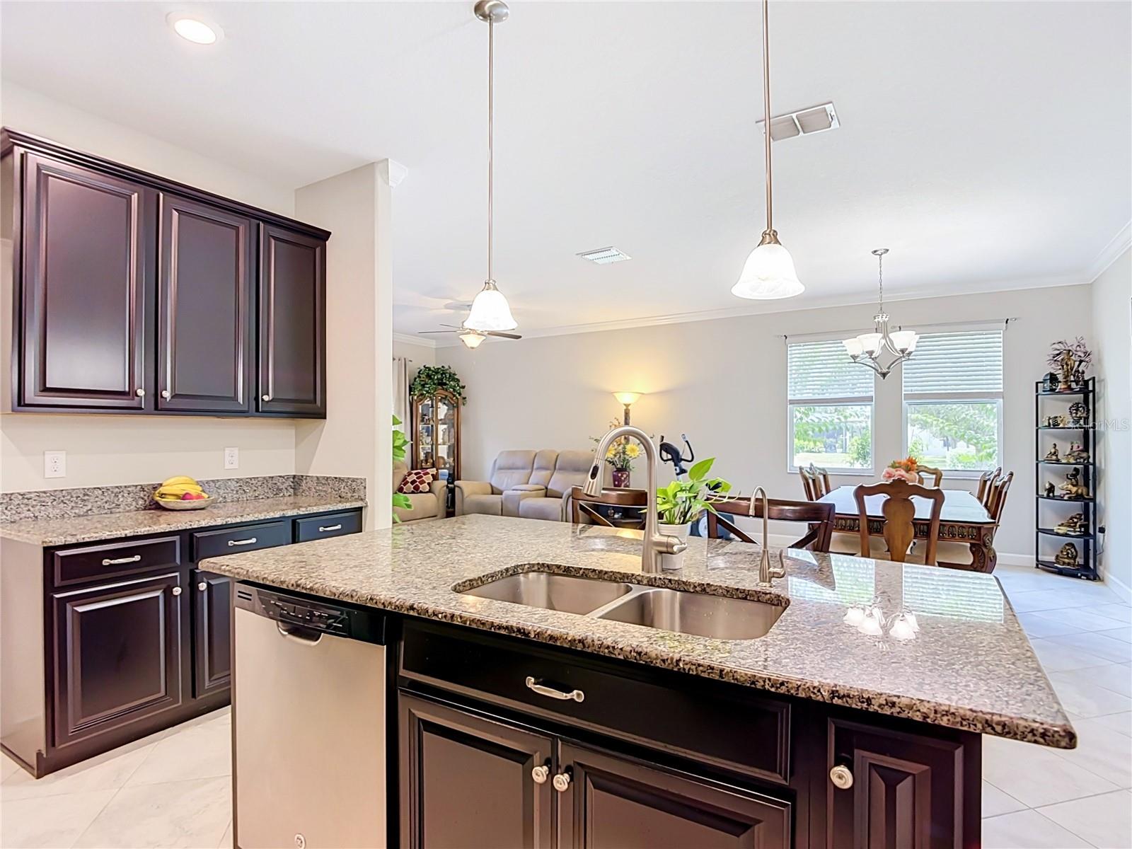 17488 TERRAZZO WAY, LAND O LAKES, FL — photo 8