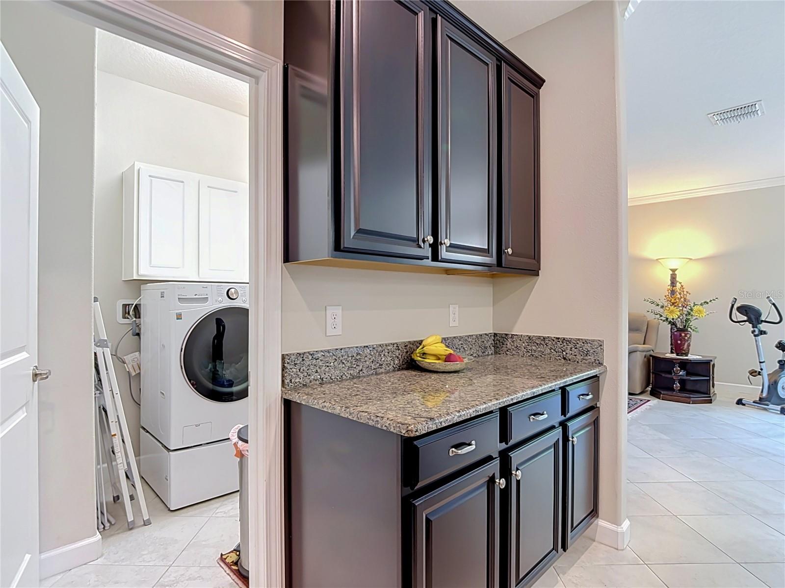 17488 TERRAZZO WAY, LAND O LAKES, FL — photo 12