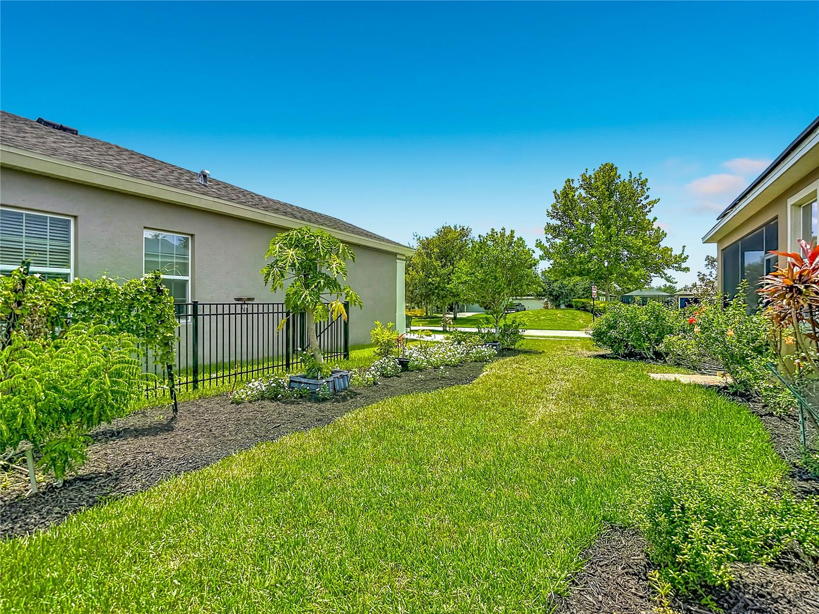 17488 TERRAZZO WAY, LAND O LAKES, FL — photo 45