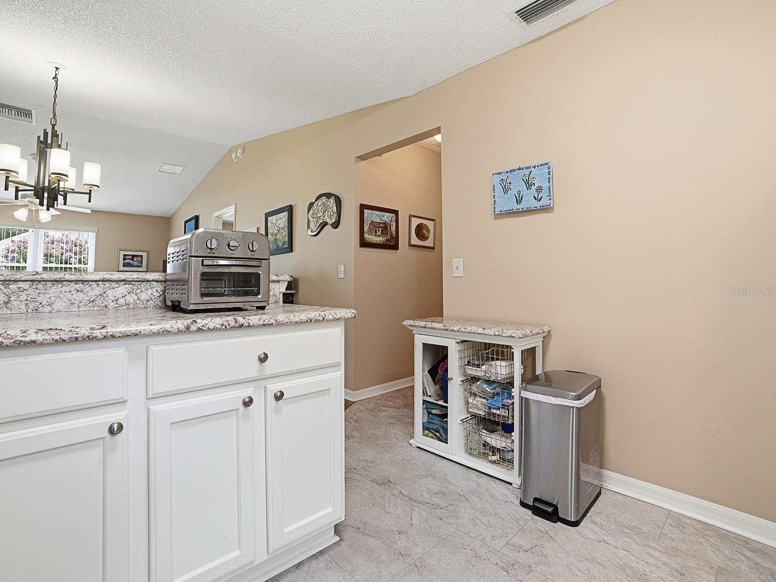 1070 BERKSHIRE PL, THE VILLAGES, FL — photo 9