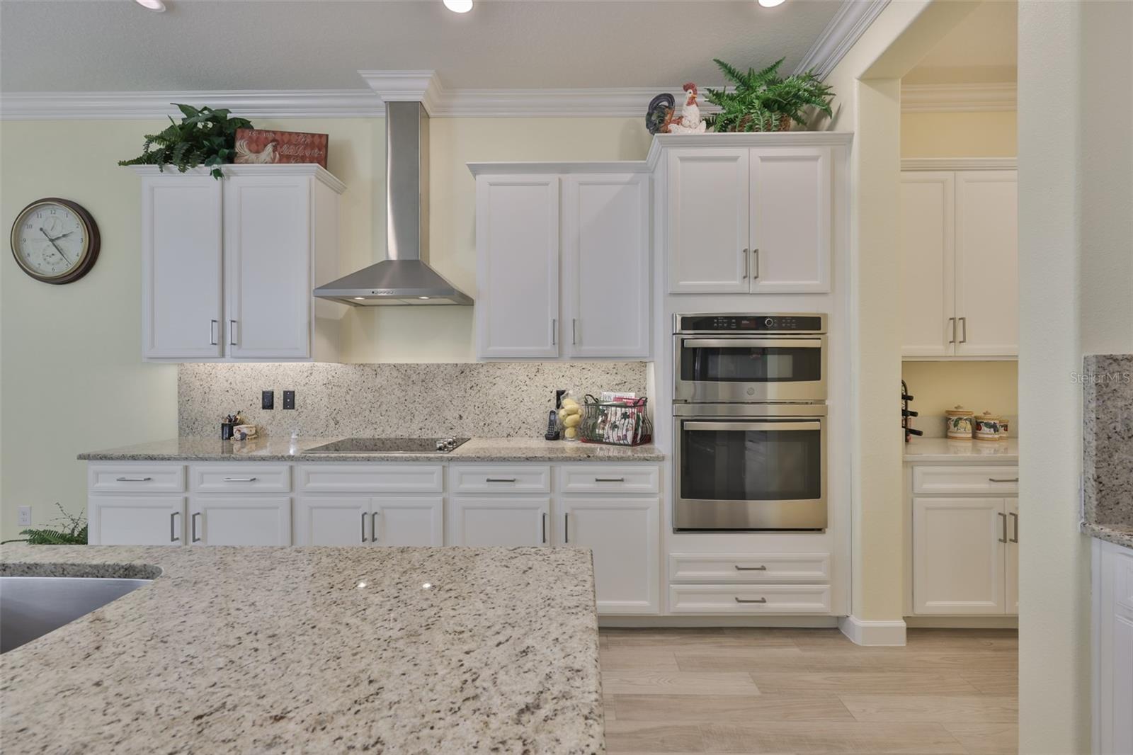 16955 SCUBA CREST ST, WIMAUMA, FL — photo 16