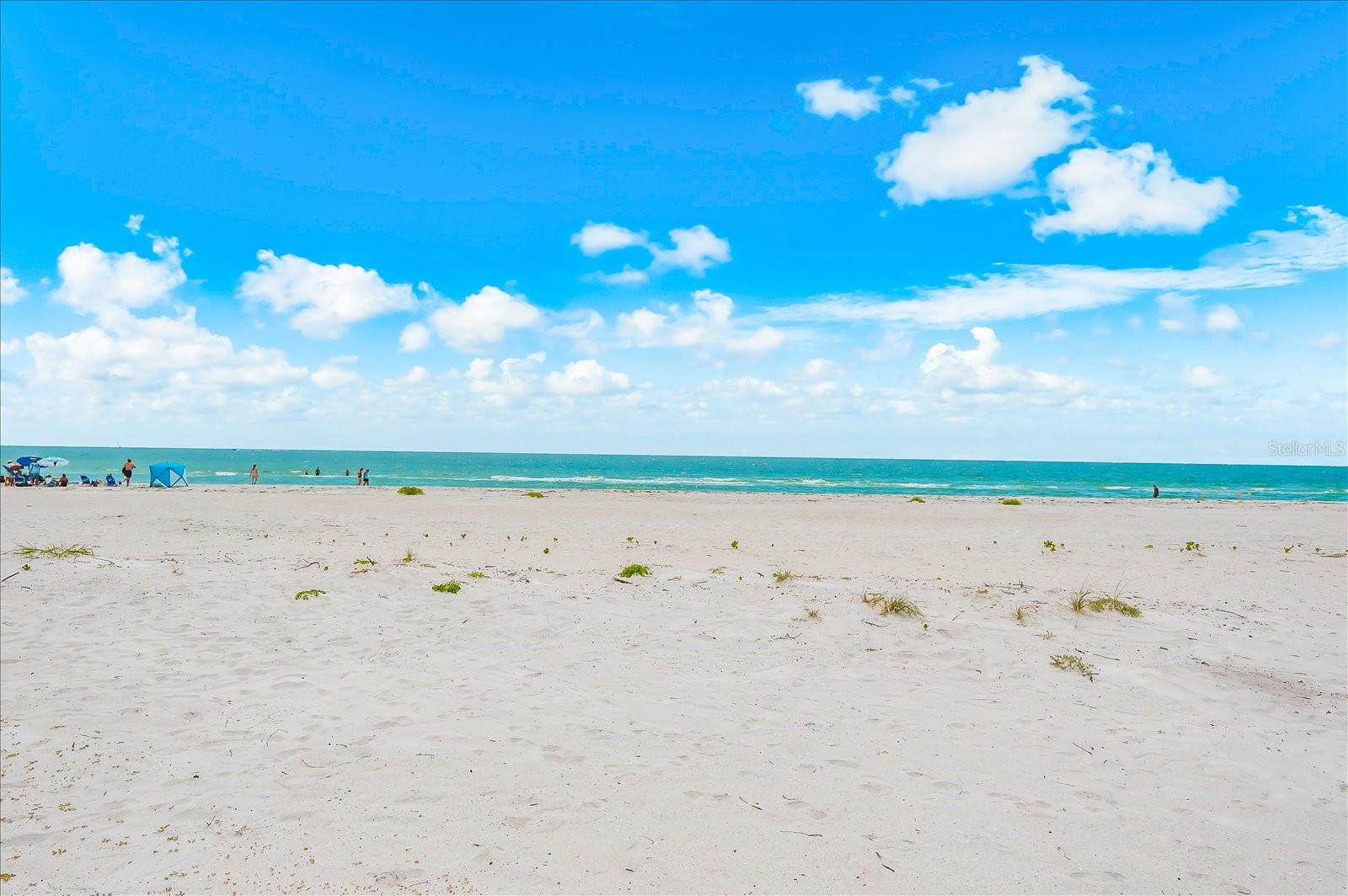 810 ELDORADO AVE, CLEARWATER BEACH, FL — photo 65