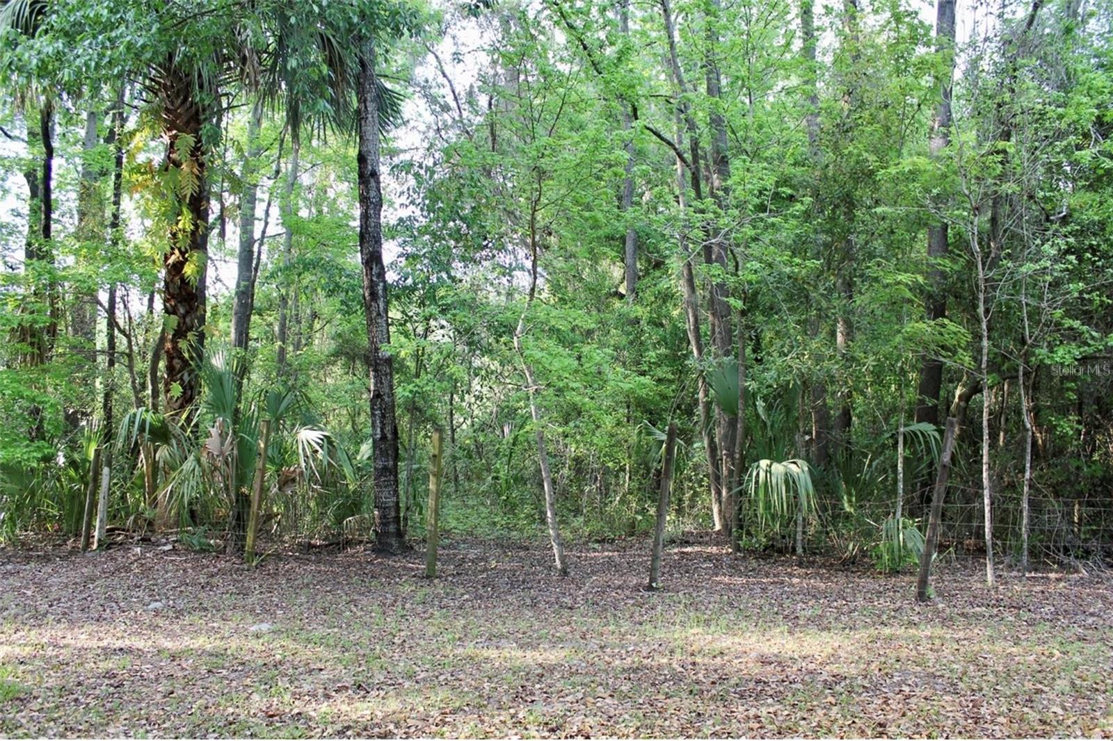 3700 SE 183RD AVENUE RD, OCKLAWAHA, FL — photo 45