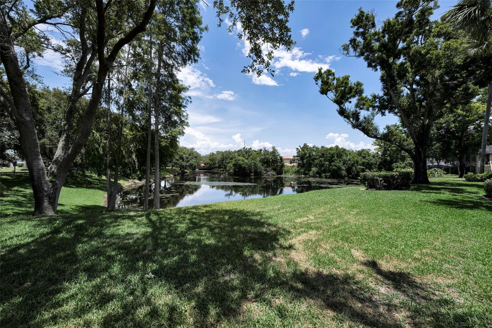 3165 LANDMARK DR #711, CLEARWATER, FL — photo 20