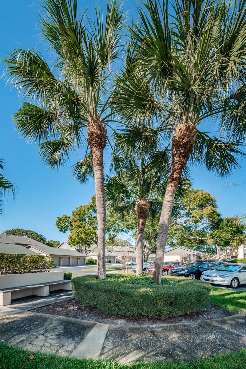 3165 LANDMARK DR #711, CLEARWATER, FL — photo 24
