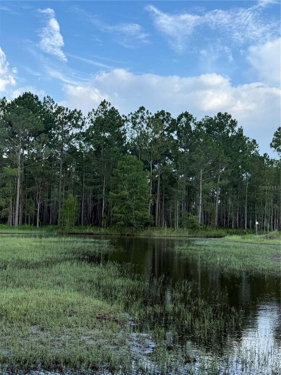 HOLOPAW GROVES RD #Lot 125 & 126, ST CLOUD, FL — photo 5