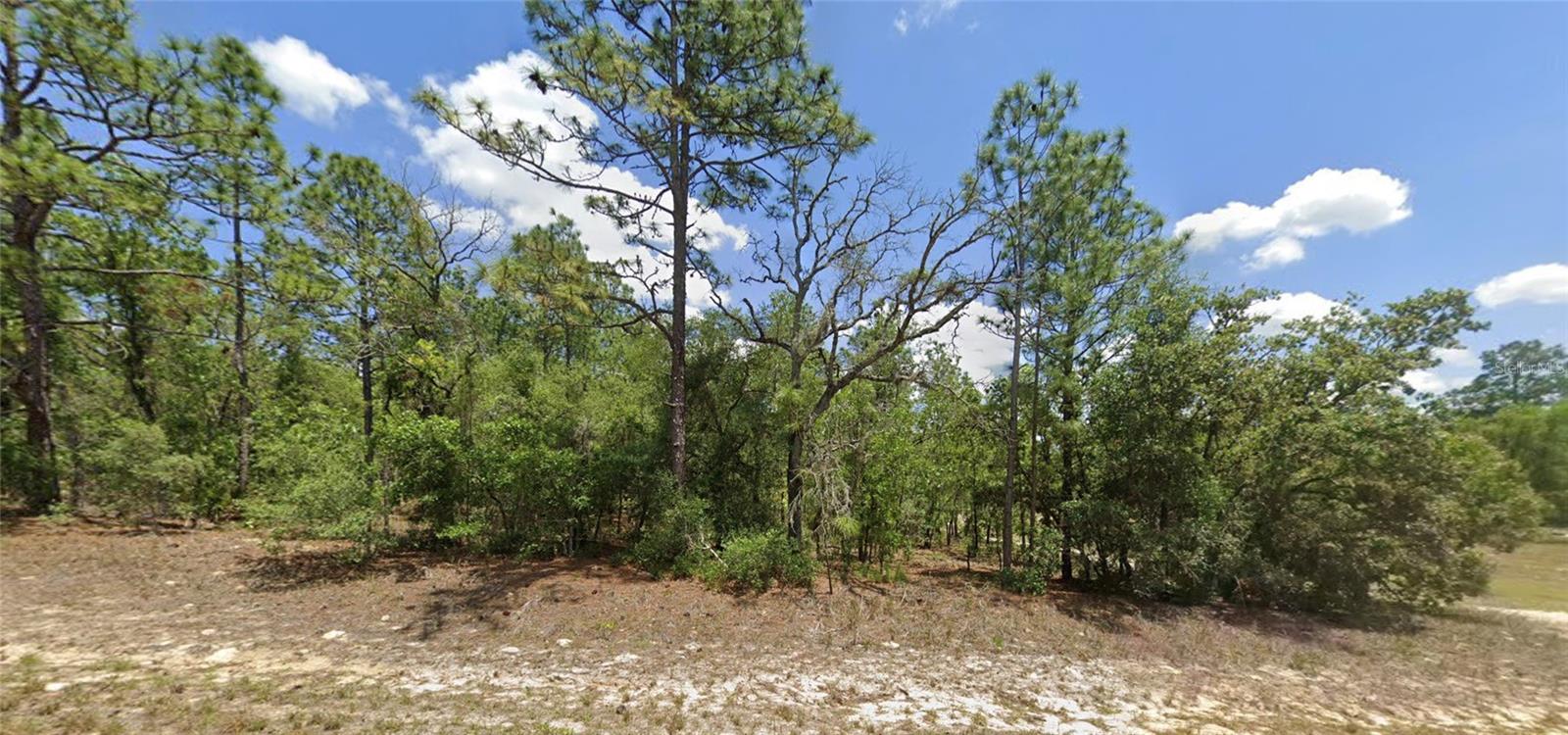 9857 N LATHYRUS TER, DUNNELLON, FL