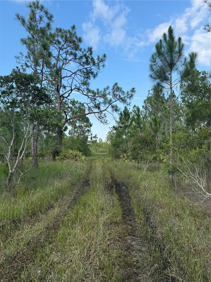 HOLOPAW GROVES RD #Lot 99 & 100, ST CLOUD, FL — photo 3