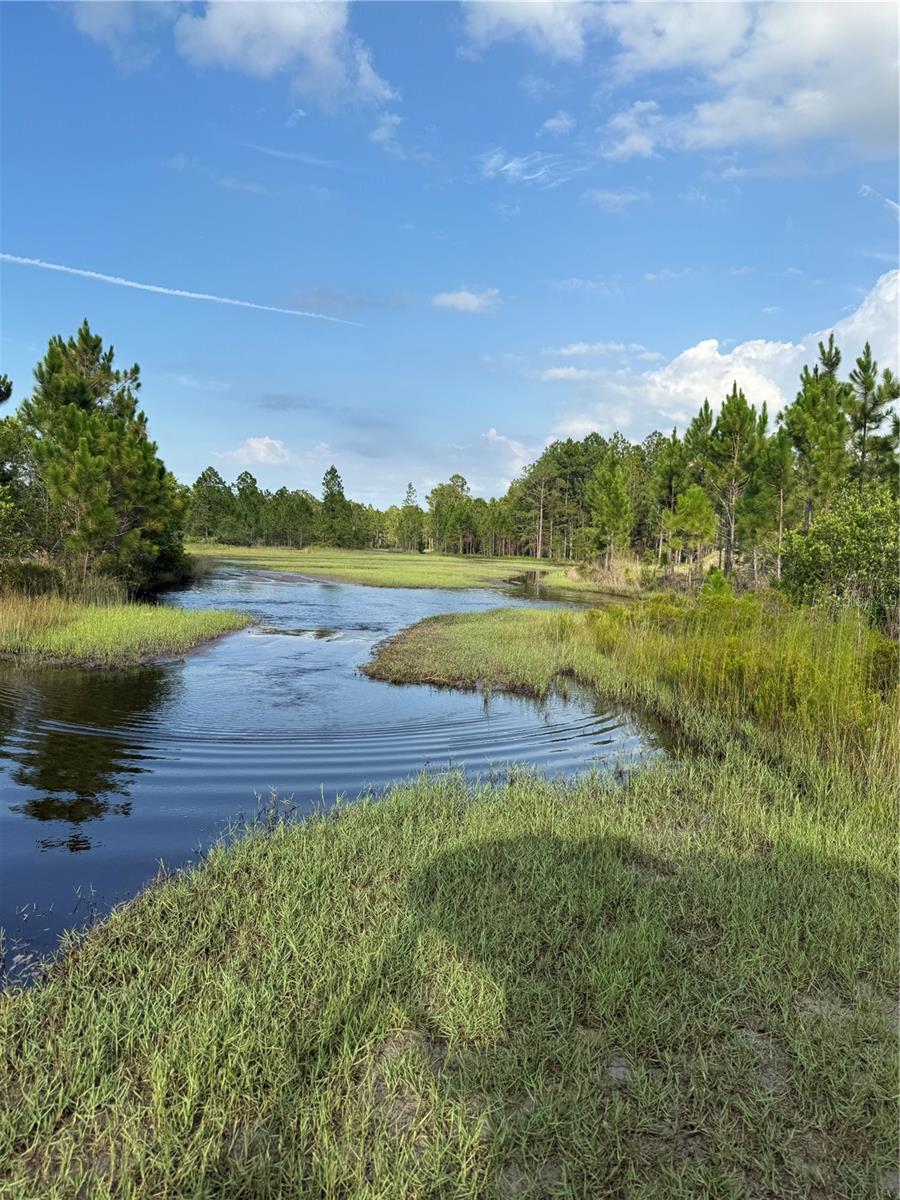 HOLOPAW GROVES RD #Lot 99 & 100, ST CLOUD, FL — photo 6