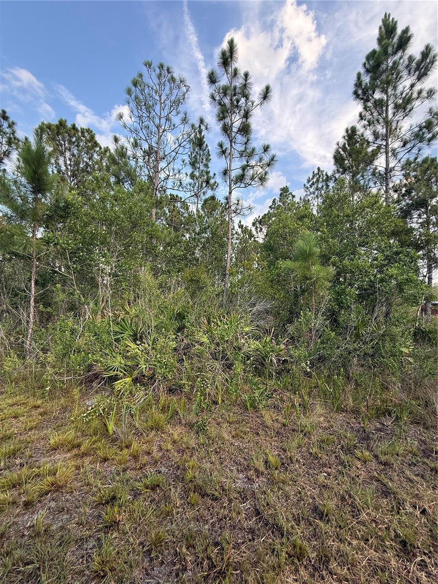 HOLOPAW GROVES RD #Lot 99 & 100, ST CLOUD, FL — photo 8