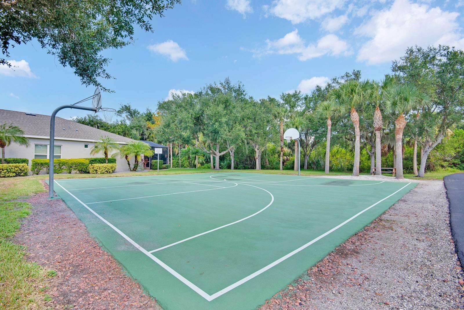 3938 90TH AVE E, PARRISH, FL — photo 75
