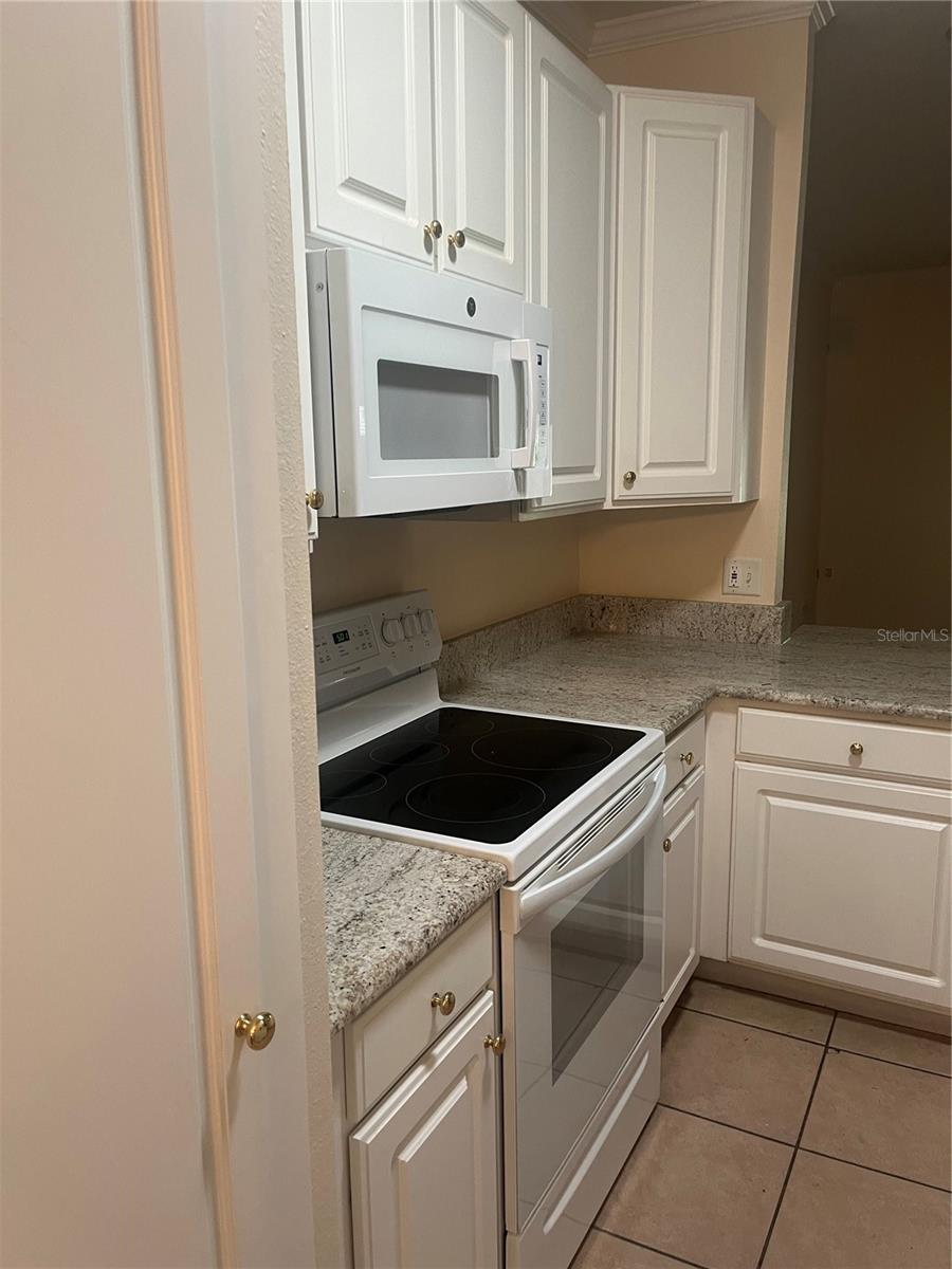 8509 ALEXANDRA ARBOR LN, TAMPA, FL — photo 4