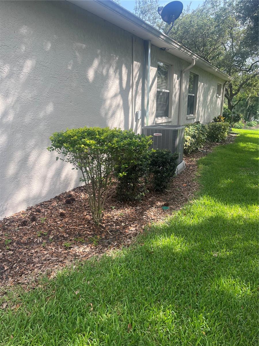 8509 ALEXANDRA ARBOR LN, TAMPA, FL — photo 14