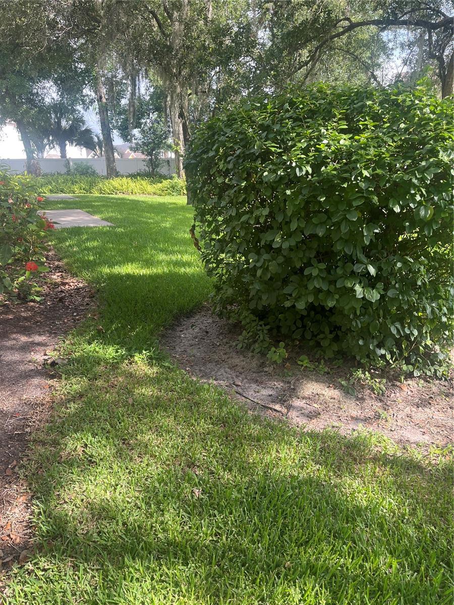 8509 ALEXANDRA ARBOR LN, TAMPA, FL — photo 15