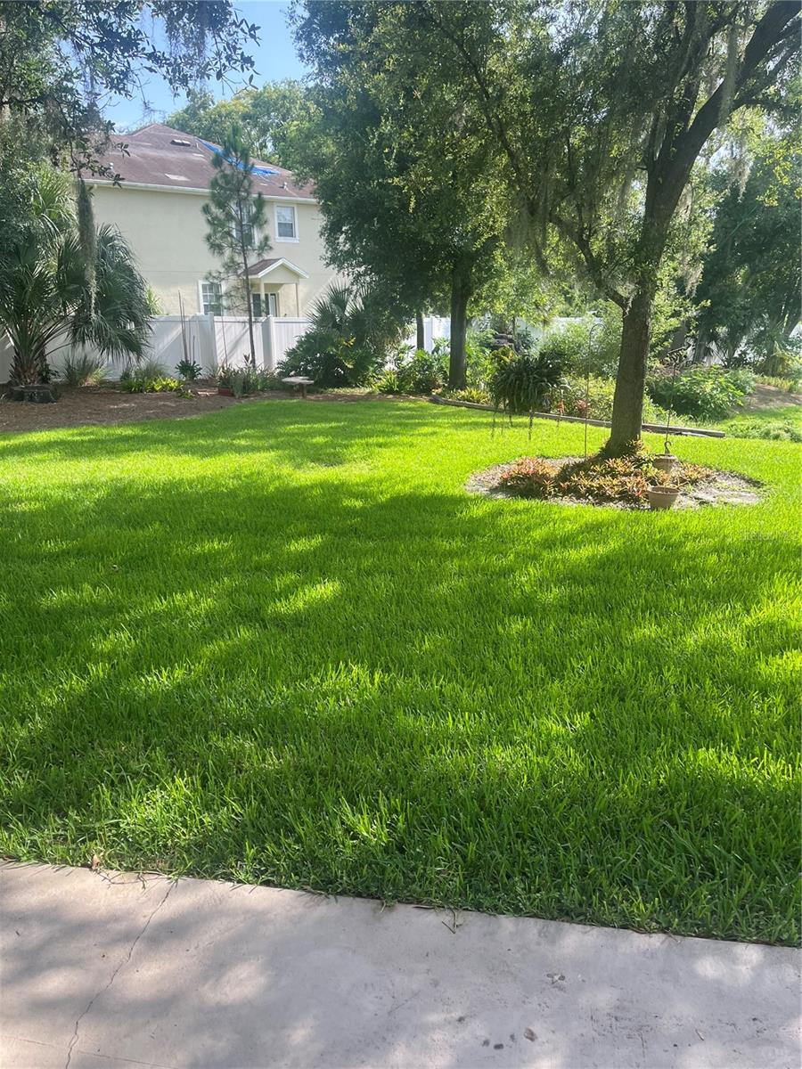 8509 ALEXANDRA ARBOR LN, TAMPA, FL — photo 19