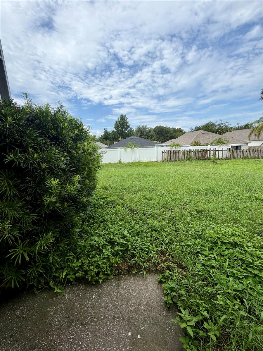 3137 CASTLE ROCK CIR, LAND O LAKES, FL — photo 25
