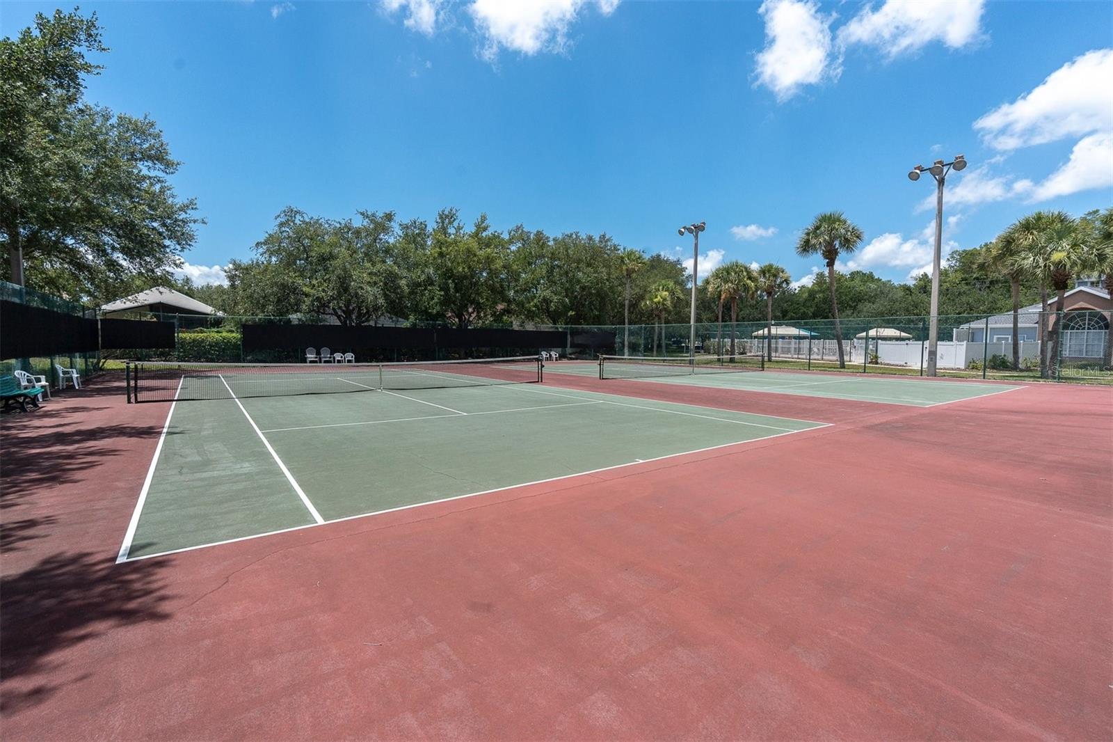 9548 CHARLESBERG DRIVE, TAMPA, FL — photo 29
