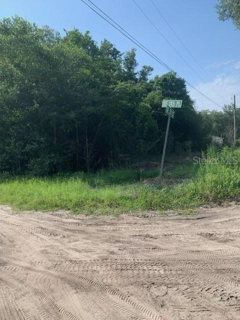 TBA SE 145TH PL, SUMMERFIELD, FL