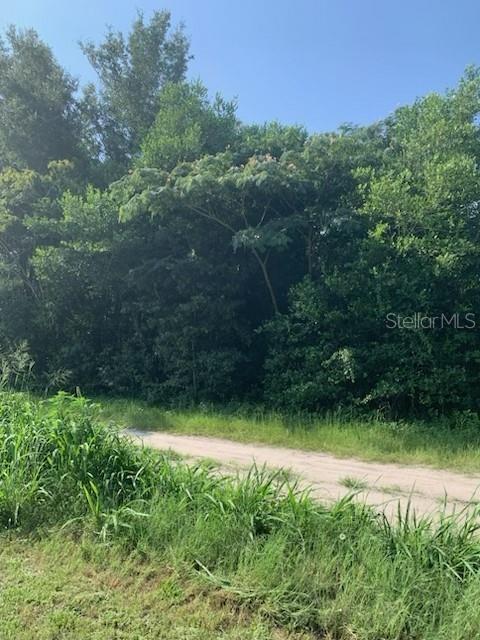 TBA SE 145TH PL, SUMMERFIELD, FL — photo 2