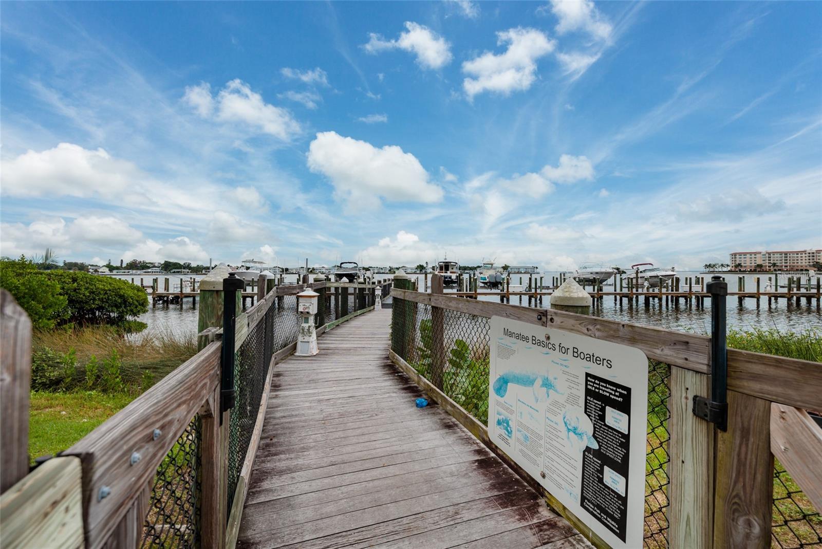190 BANYAN BAY DR, ST PETERSBURG, FL — photo 47