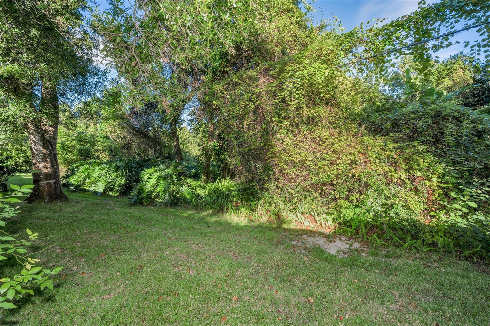 3500 MAGNOLIA RIDGE CIR #405, PALM HARBOR, FL — photo 30
