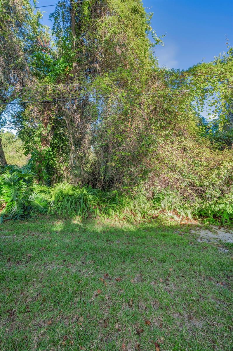 3500 MAGNOLIA RIDGE CIR #405, PALM HARBOR, FL — photo 31
