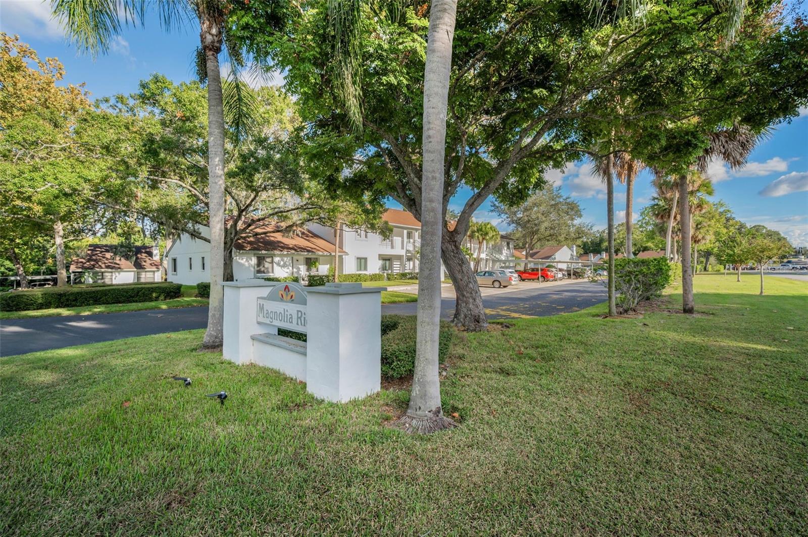 3500 MAGNOLIA RIDGE CIR #405, PALM HARBOR, FL — photo 36