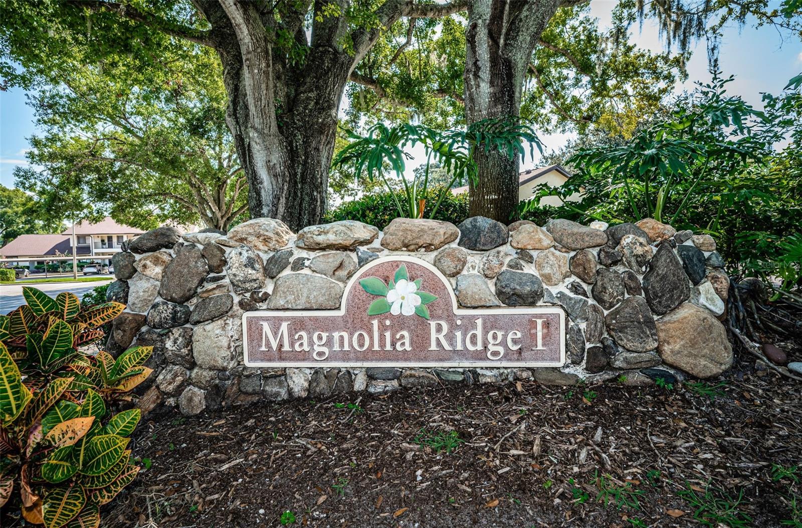 3500 MAGNOLIA RIDGE CIR #405, PALM HARBOR, FL — photo 37