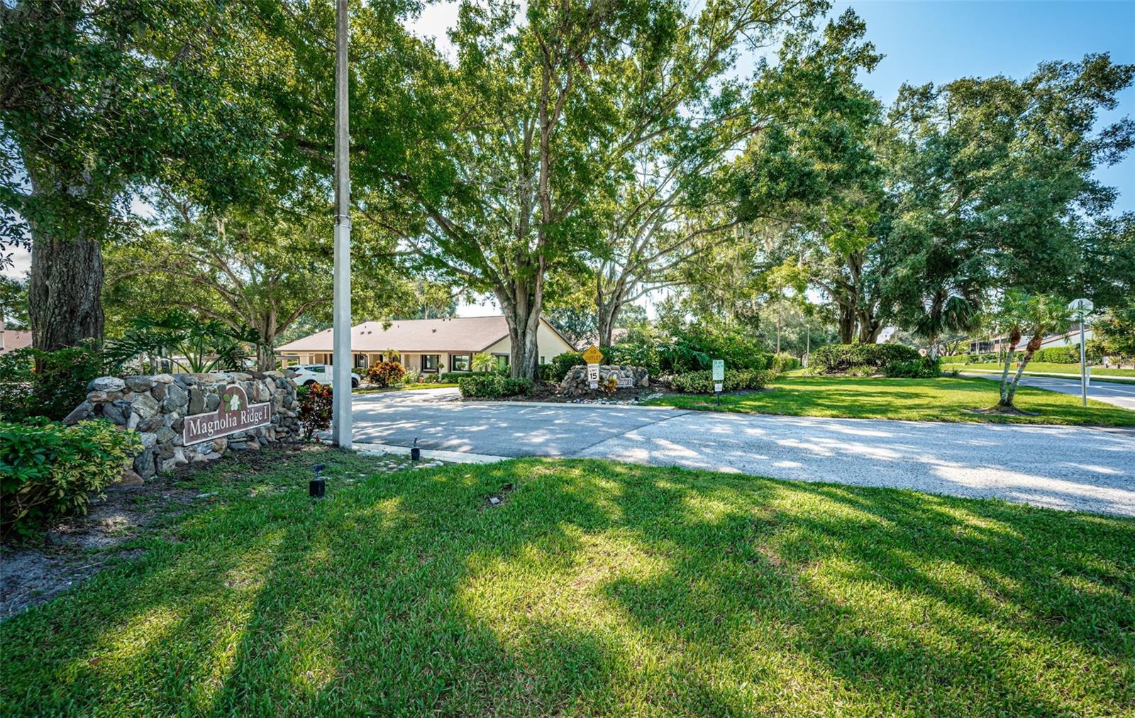 3500 MAGNOLIA RIDGE CIR #405, PALM HARBOR, FL — photo 39