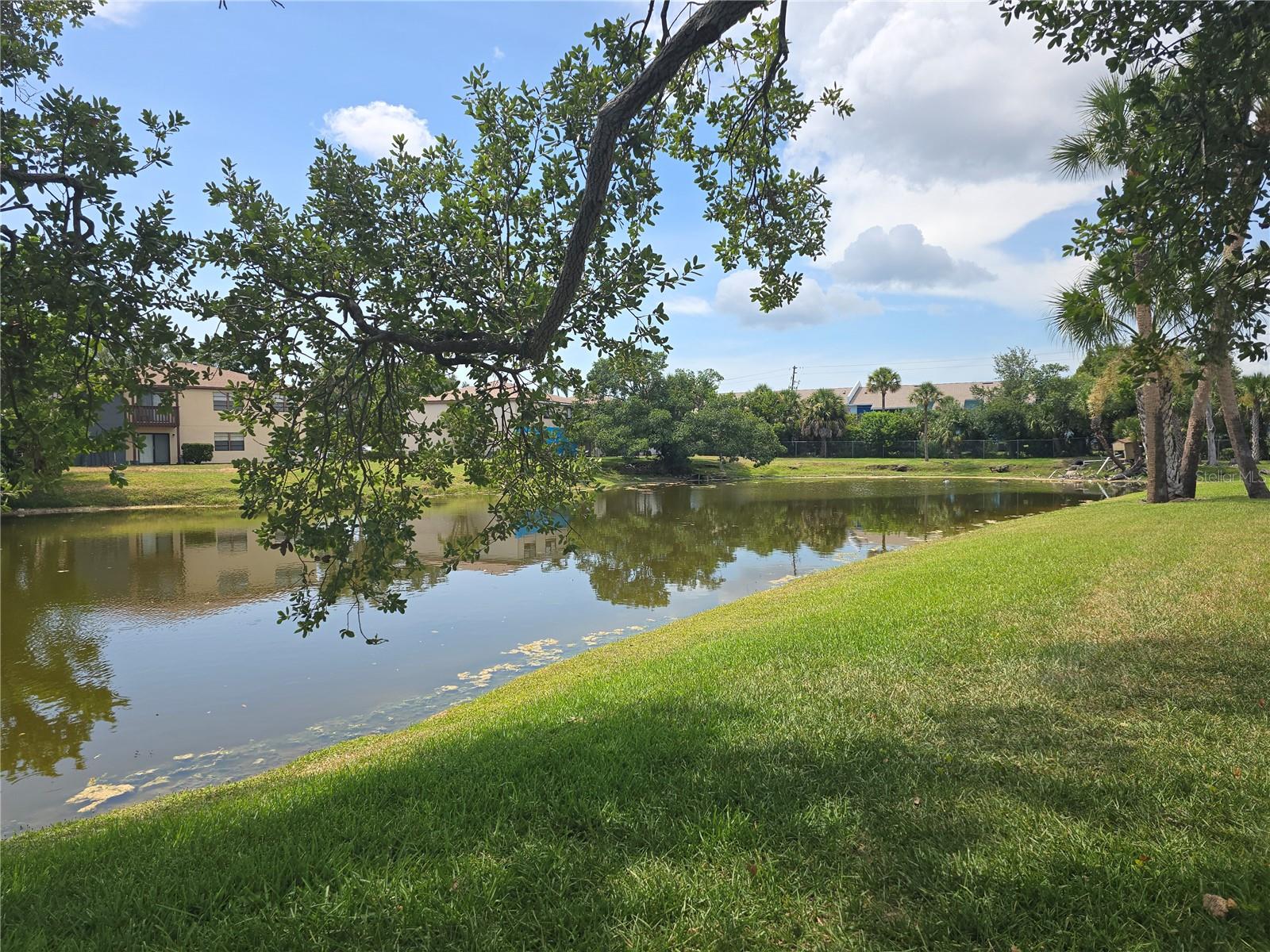 5064 LIVE OAK CIR #5064, BRADENTON, FL — photo 33
