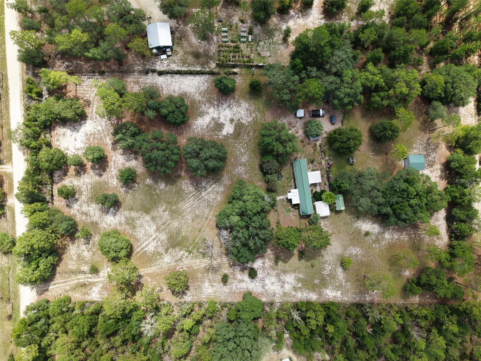 12750 NE 65TH ST, WILLISTON, FL — photo 41