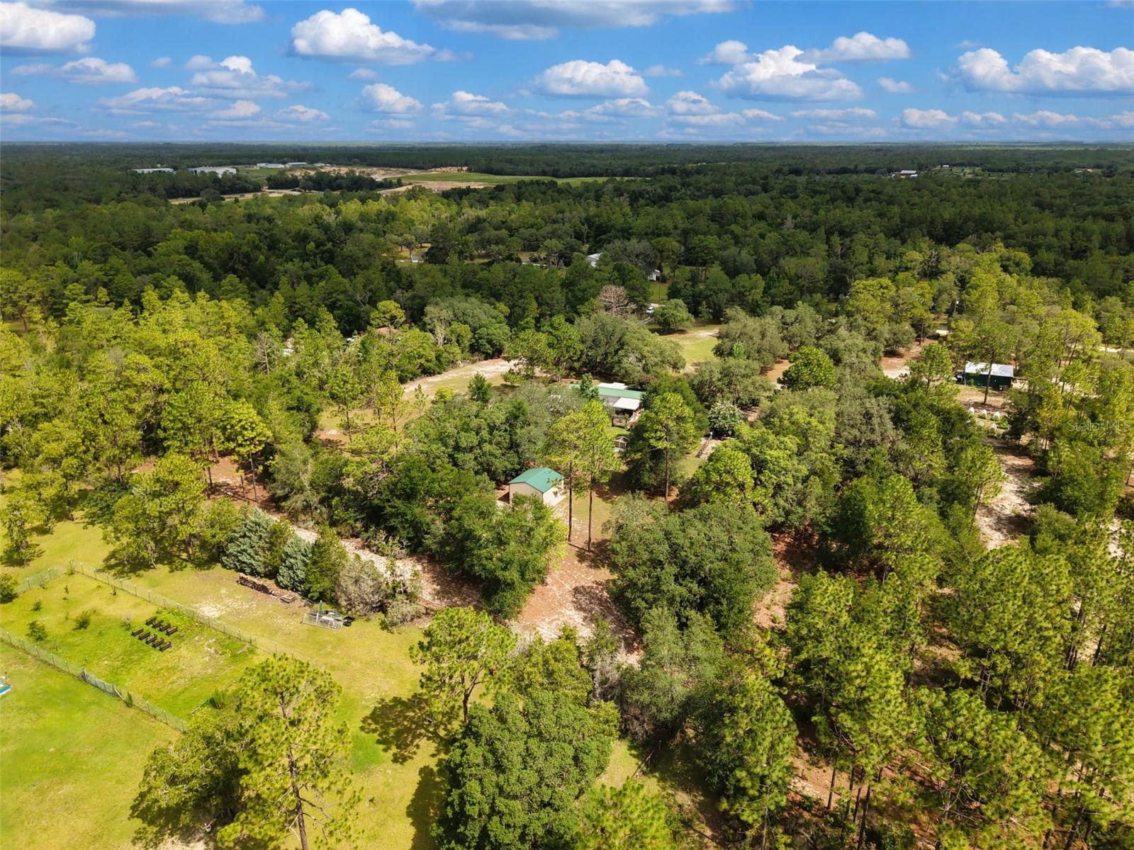 12750 NE 65TH ST, WILLISTON, FL — photo 43
