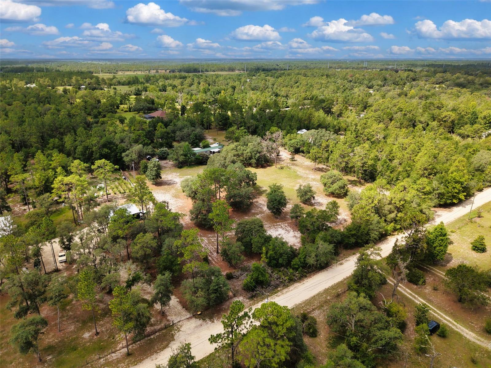 12750 NE 65TH ST, WILLISTON, FL — photo 45