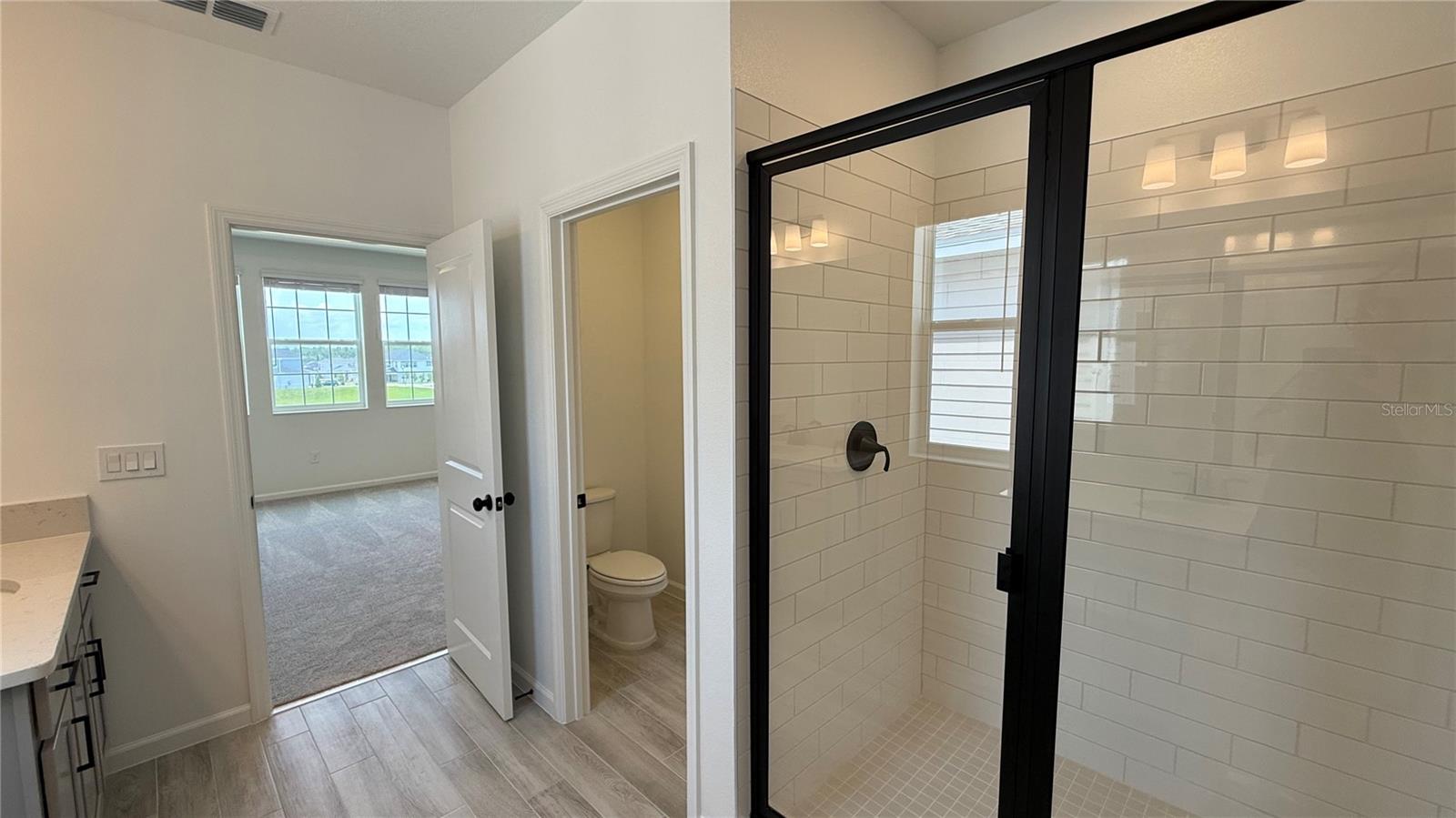 17131 BEACHGRASS ALY, WINTER GARDEN, FL — photo 21